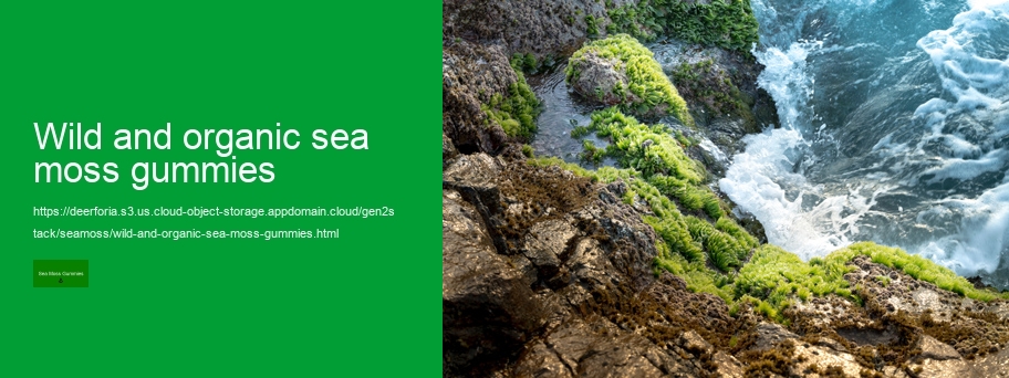 sea moss benefits and side effects